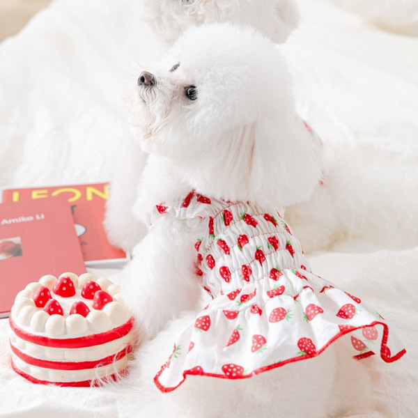 Pet Strawberry Dress Pet Hundetøj GUL XS yellow XS
