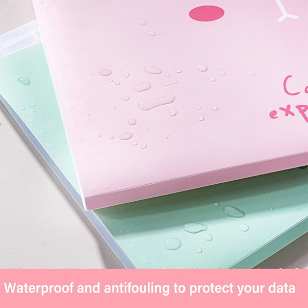 A4-tiedostokansio Testipaperin säilytyskansio PINK Pink