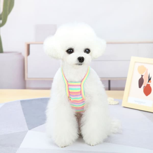 Hundklänningar Husdjurskläder PINK M pink M
