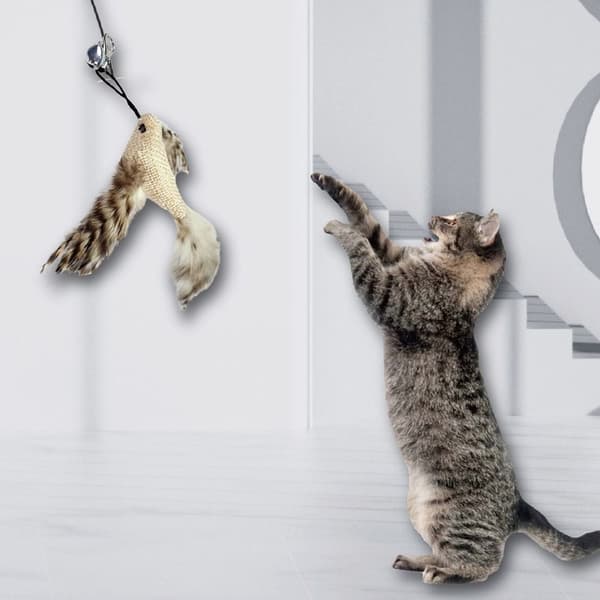 Kattungeleker Teaser Feather B B B