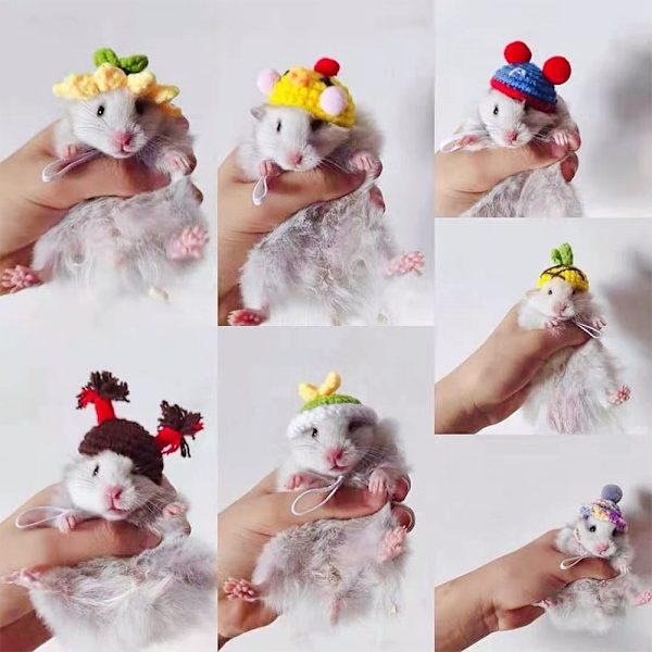 Hamsterhat Smådyrhat TYPE I TYPE I Type I