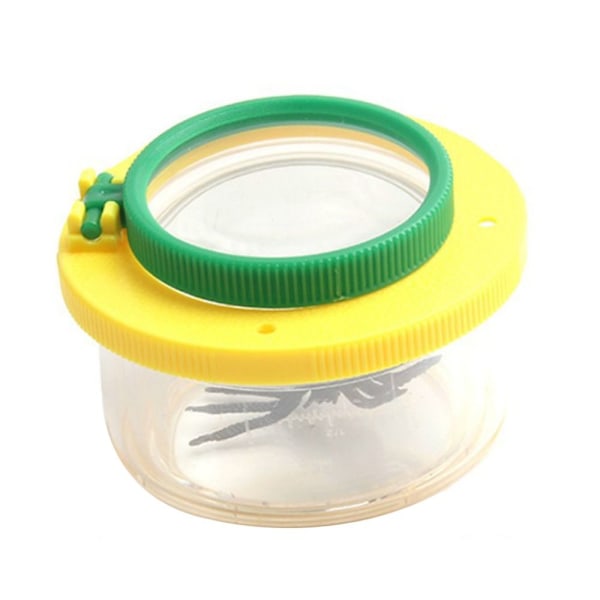 Bug Viewer Insect Box Magnifier 04 04 04