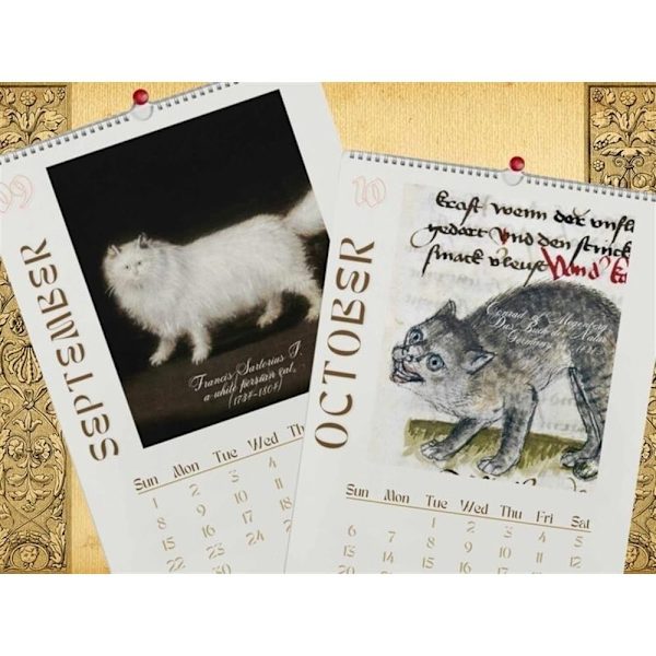 Kattväggkalender Rolig kattkalender A3 A3 A3