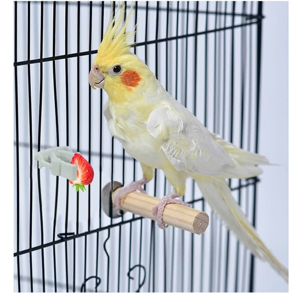 4st Bird Cage Clips Bird Cage Feeder Papegoja
