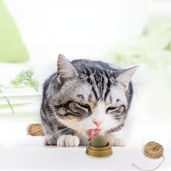Naturlig kattmynta Cat Wall Stick-on Ball Toy