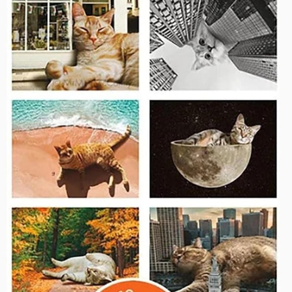 Lazy Cats Calendar 2024 Kalender Daglig arrangørkalender