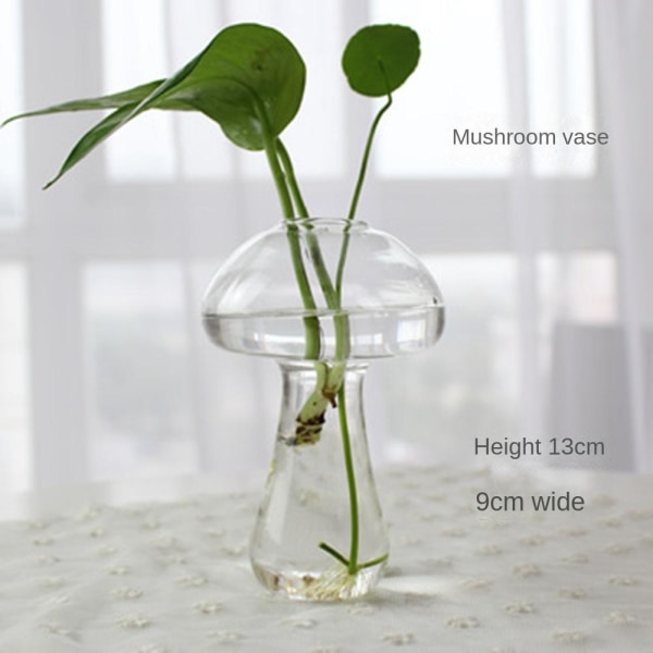 Vase Glassvasen 10 10 10