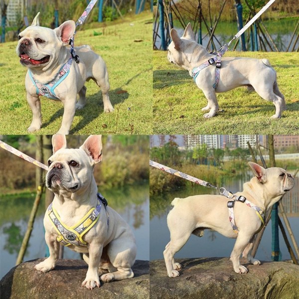 Hundesele til hunde Hundebrystrem LSTYLE 2 STYLE 2 LStyle 2