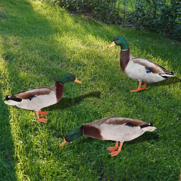 Akryl Duck Statyer Duck Sculpture A A A