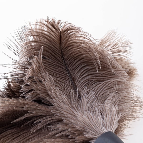 Strutsfjærbørste Strutsfjærpelsbørste Duster