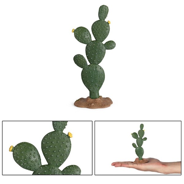 Keinotekoiset kaktusmallit Miniatyyri hedelmäpuu 2 2 2