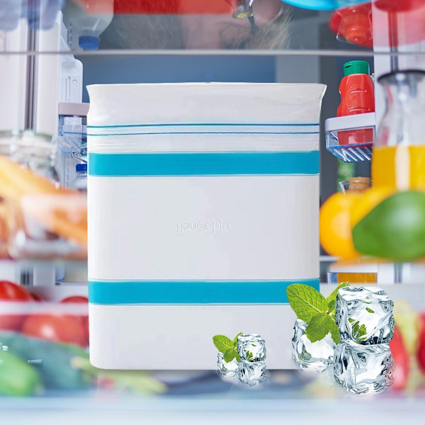 Icebox mold 2kpl 2kpl 2pcs