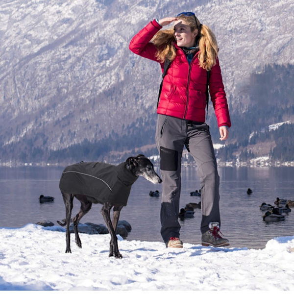 Pet Hundetøj Pet Dog Jacket BROWN S Brown S