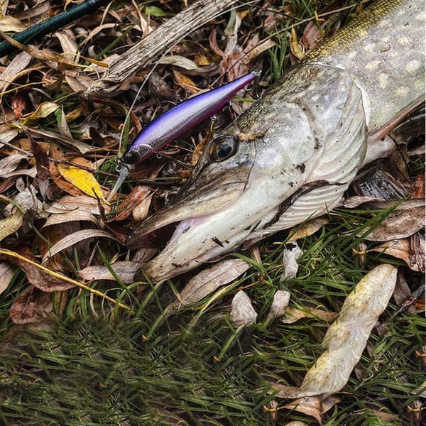 sjunkande Minnow Baits Fish Hooks A A A