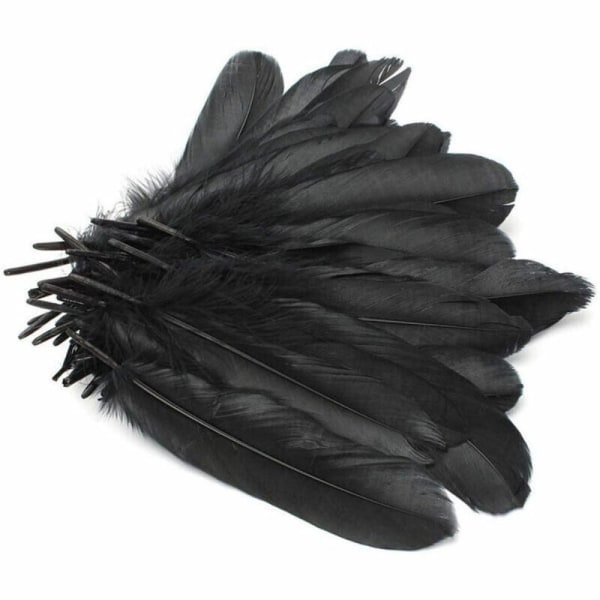 100 st/ Set Gåsfjädrar Diverse Fjäder SVART black
