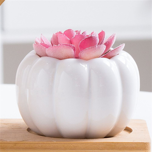 Keramiska Pumpa Blomkrukor Plantskola Basin VIT white