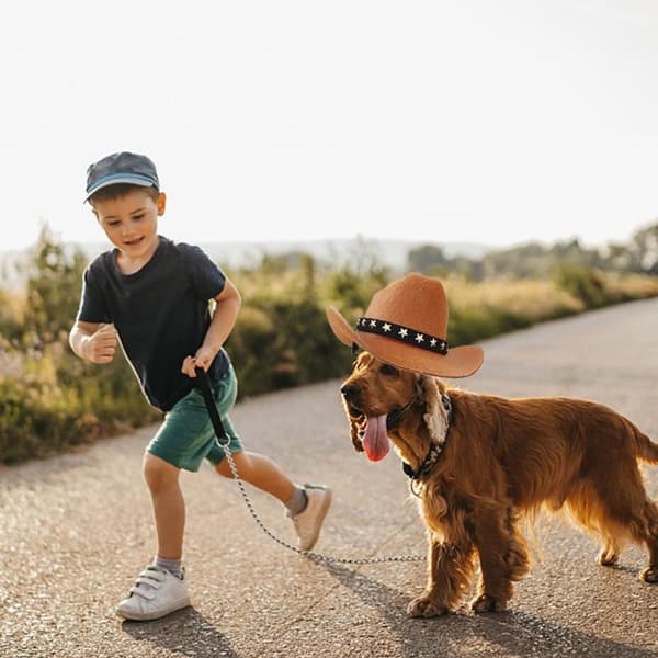 Pet Hat Hunder Caps BRUN brown