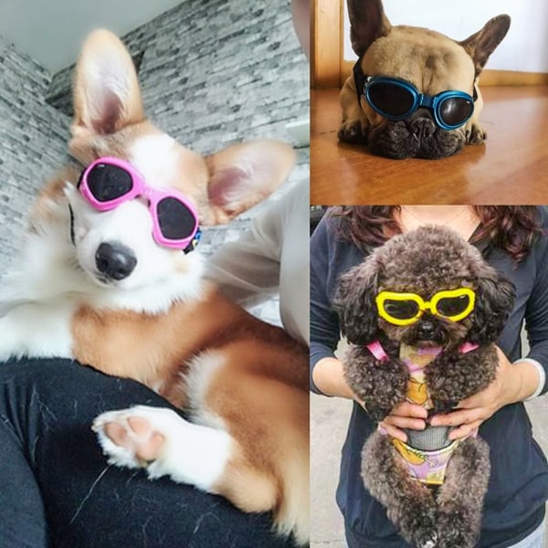 Dog Goggles Pet Solbriller SVART black