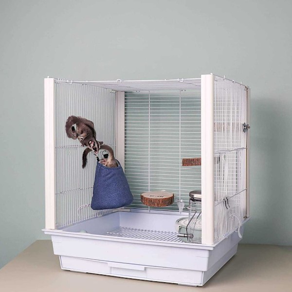 Hamster House -jyrsijähäkki 1 1 1