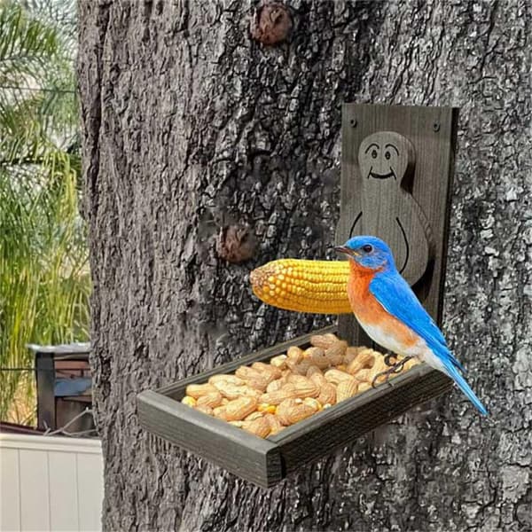 Squirrel Feeder Lintujen ruokintalaitteet MUSTA black