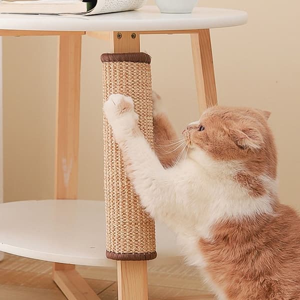 Cat Scratch Protect Mat Cat Scraper 30X40 30X40 30x40