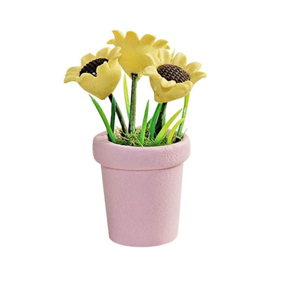 Miniatureplante potteplanter Model PINK Pink
