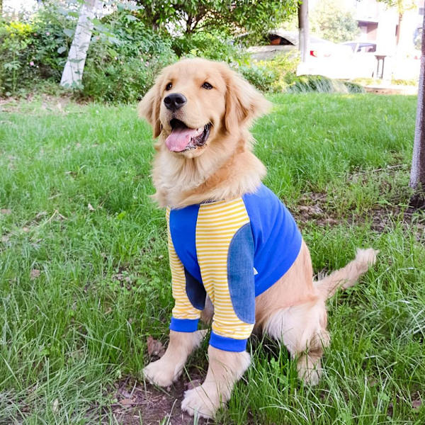 Hundeklær Pullover Klær 4XL 4XL