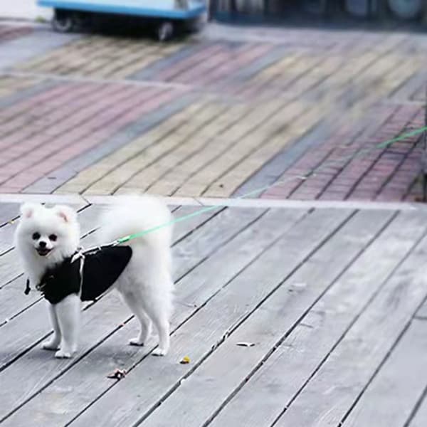 Infällbart hundkoppel Träning Hundkoppel GRÅT Grey
