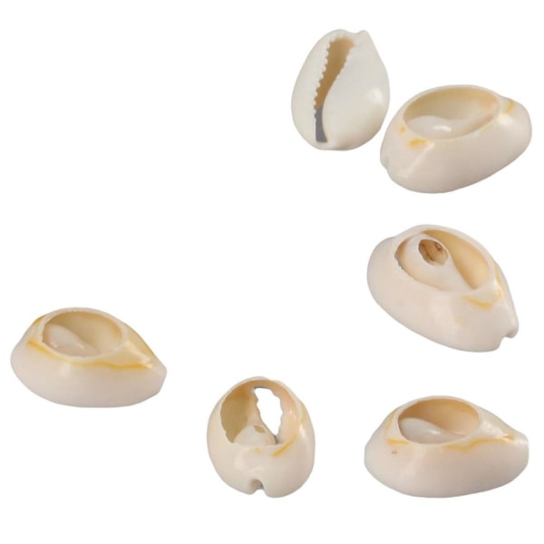 Strong Cowrie Shell Beads Smooth Cut