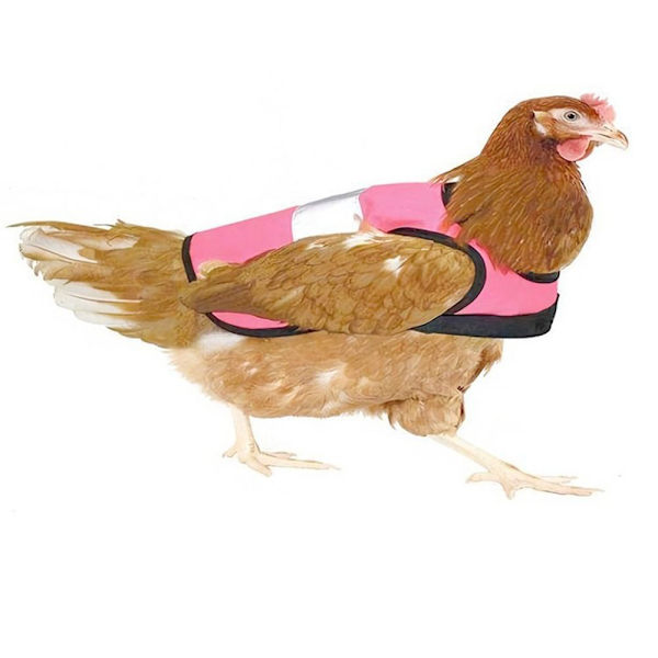 Kyllingevest Kyllingesele SORT Black