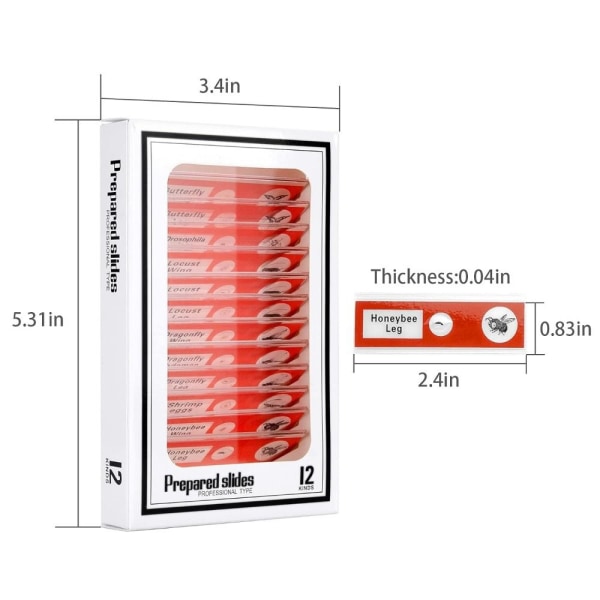 Objektglas för mikroskop Förberedda objektglas SET Set