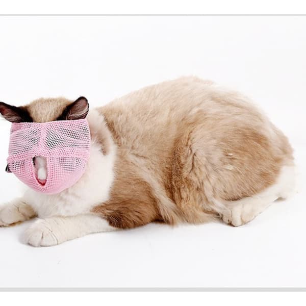 Anti Bite Muzzles Badepose BLÅ M Blue M