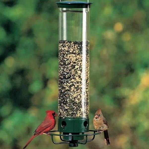 Metal Pet Bird Feeder Dispenser för husdjursfoder Flera hål
