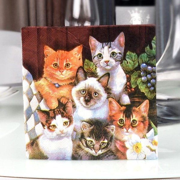 Kattpappersservett servettpapper festpappersmjukpapper 100Pcs