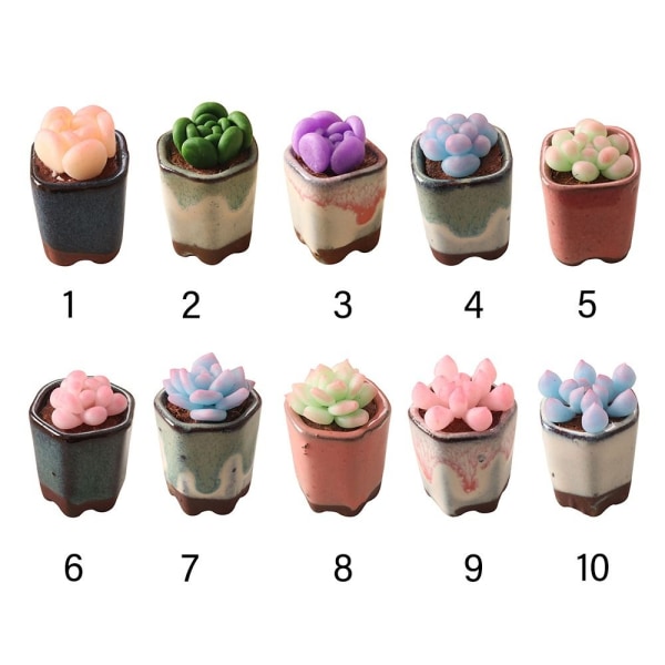 Dollhouse Succulent Bonsai Miniature Plant Potted 8 8 8