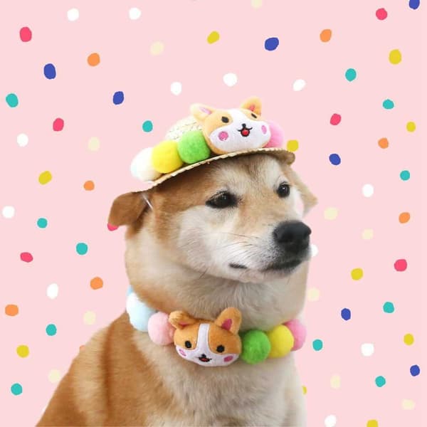 Pet Sunhat cap STYLE 3 STYLE 3 Style 3