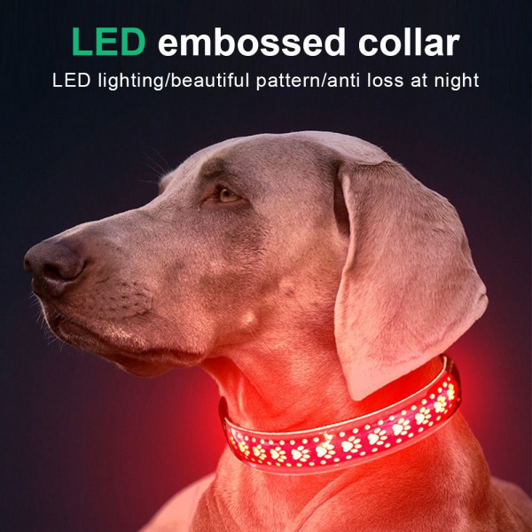 USB uppladdningsbart hundhalsband Ljus Lysande Blinkande Glödande röd