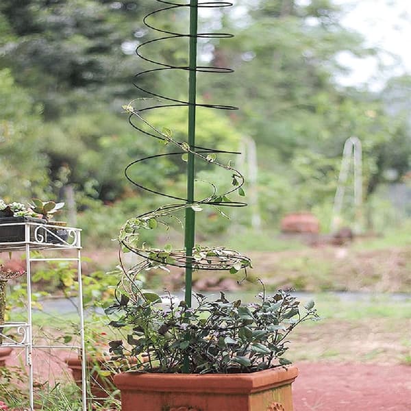 Plant Stakes Support Stakes 2 2 2