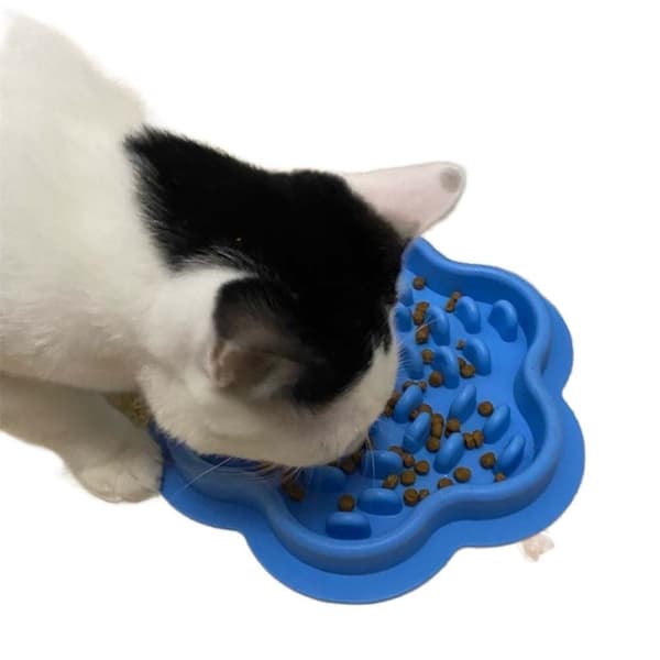 Spisefoderfad Pet Food Bowl BLÅ Blue