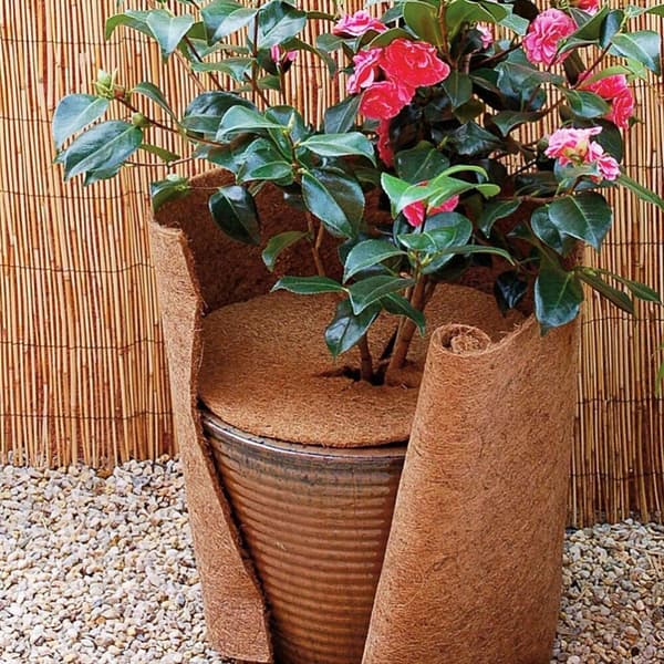 2kpl cover multaa ruohonkestävä alusta 20CM2kpl 2kpl 20cm2Pcs
