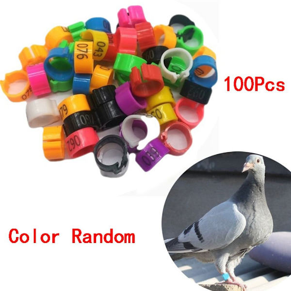 Pigeon Ringe Due Bird Clip Ringe PINK Pink