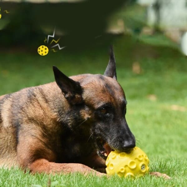 Koiran lelu purulelu MUSTA Black