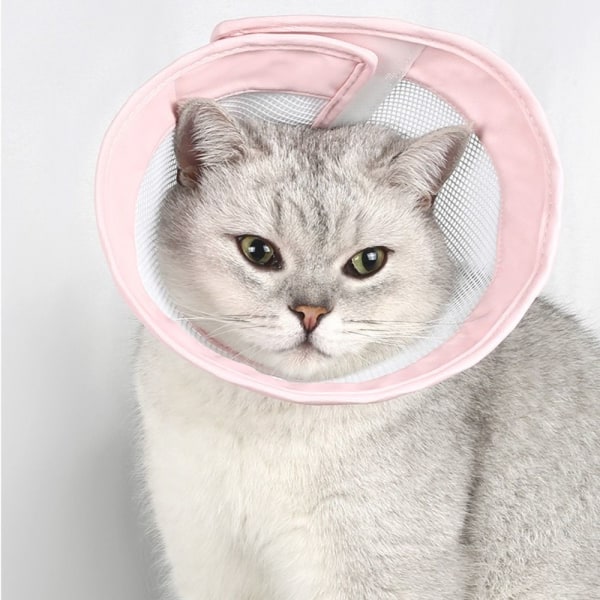 Pet Cone Cone kaulus PINK M Pink M