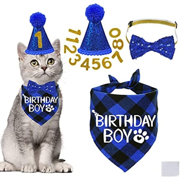 Hundebursdagsdekorasjon Pet Hat BLÅ blue