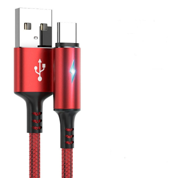 Typ C Kabel Datasladd RÖD 2M Red 2M