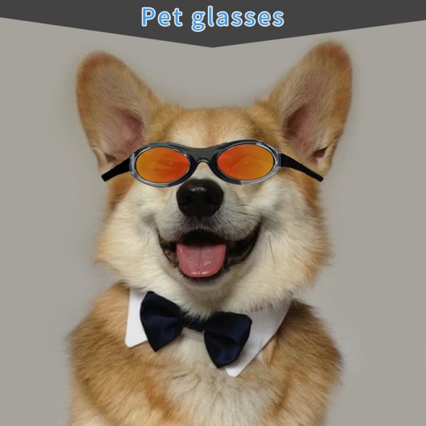Justerbara hundglasögon solglasögon