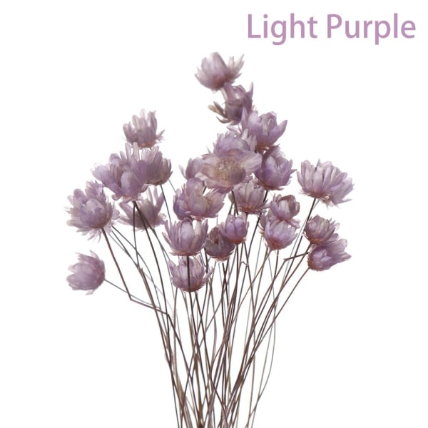 30st dekorativa torkade blommor Mini Daisy LJUSLILA light purple