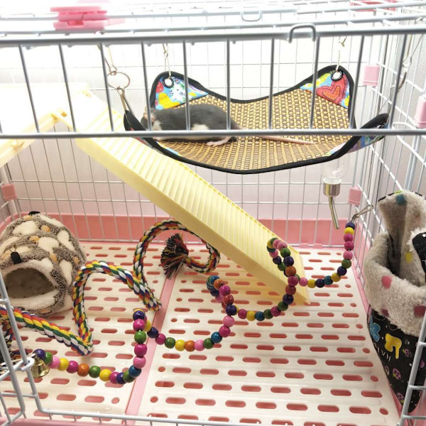 Hamsterin riippumatto Pienen lemmikin jäähdytysmatto 2