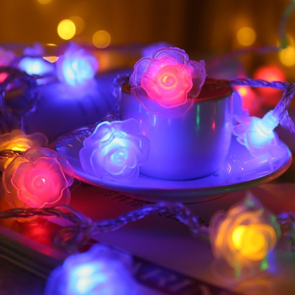LED Night Lights Fairy String Lights WARM WHITE WARM WHITE Warm White