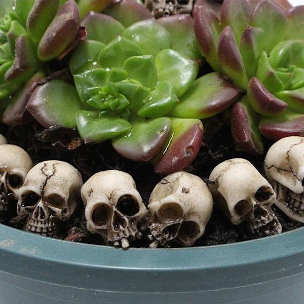 20 Stk Skull Heads Mini Skull Statue Skeleton Ornament 20 Pcs